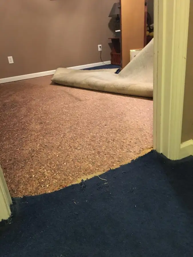 Carpet pad removal revealing water damage during Water Mitigation Services in Bessemer