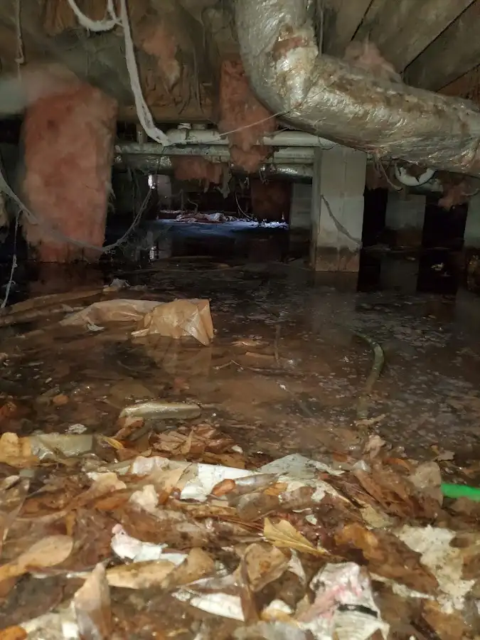 Crawl space flood assessment for Leak Detection & Repair in Bessemer